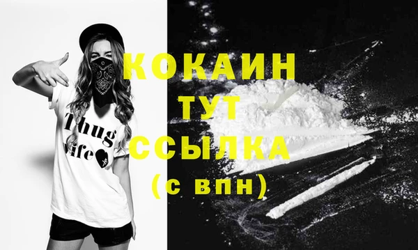 гидра Аркадак