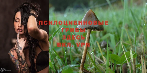 винт Арсеньев