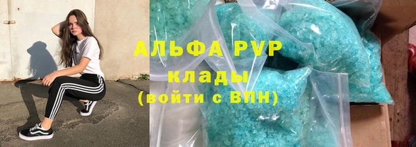гидра Аркадак